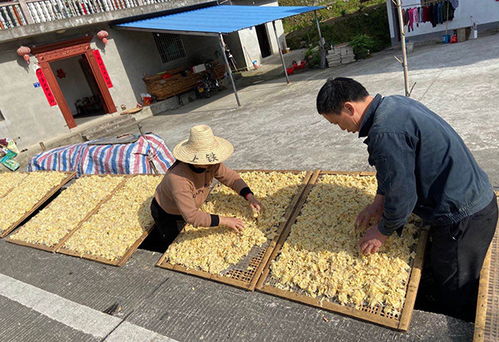 人均收入由9320元提至13600元 駐村書記說(shuō)脫貧要念好 三字經(jīng)