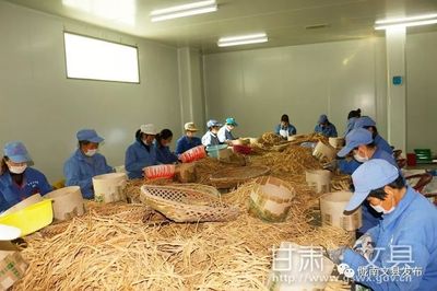 扶貧車間成就致富夢(mèng)想 --文縣扶貧車間建設(shè)綜述