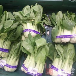 威海食藥監(jiān)局解讀食用農產品入場交易法規(guī)制度