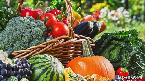 領(lǐng)鮮碼頭 打造一個社區(qū)化的生鮮超市