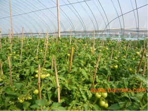 江蘇信譽好的戶外垂釣生產(chǎn)基地,江蘇垂釣,江蘇信譽好的戶外垂釣生產(chǎn)基地,江蘇垂釣生產(chǎn)廠家,江蘇信譽好的戶外垂釣生產(chǎn)基地,江蘇垂釣價格