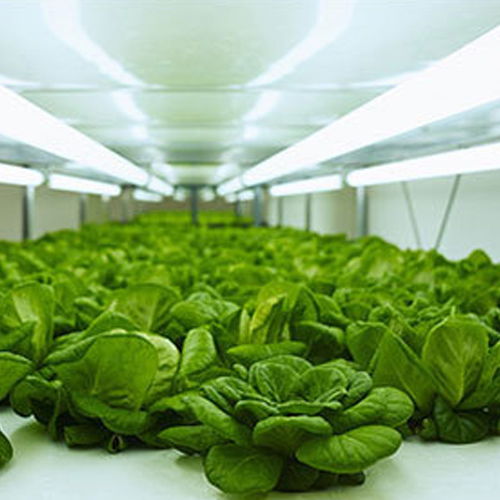 干兒子加盟電話 干兒子生鮮配送服務 玉溪干兒子加盟