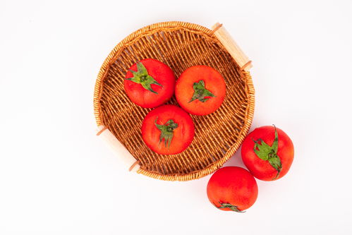 天然健康西紅柿番茄食材食品蔬菜攝影圖 st攝影