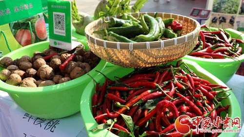 蘭州市西固區(qū)舉辦2024年中國農(nóng)民豐收節(jié)慶?；顒? class=