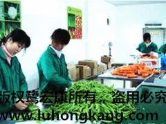 廈門價(jià)位合理的鷺宏康果蔬&middot;廠家直銷 市轄區(qū)廈門蔬菜配送圖片|廈門價(jià)位合理的鷺宏康果蔬&middot;廠家直銷 市轄區(qū)廈門蔬菜配送產(chǎn)品圖片由廈門鷺宏康果蔬公司生產(chǎn)提供-